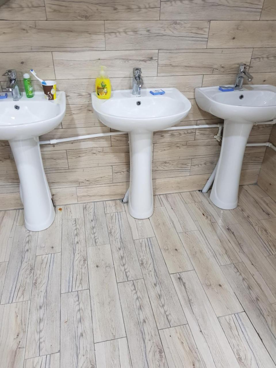 Blossom Hostel Updated ! Обновлено !!! City Center! Perfect Order!!! Snow-White Bed Linen!!! Идеальный Порядок!!! Белоснежное Постельное Белье!!! Центр Города !!! Tbilisi Exteriör bild
