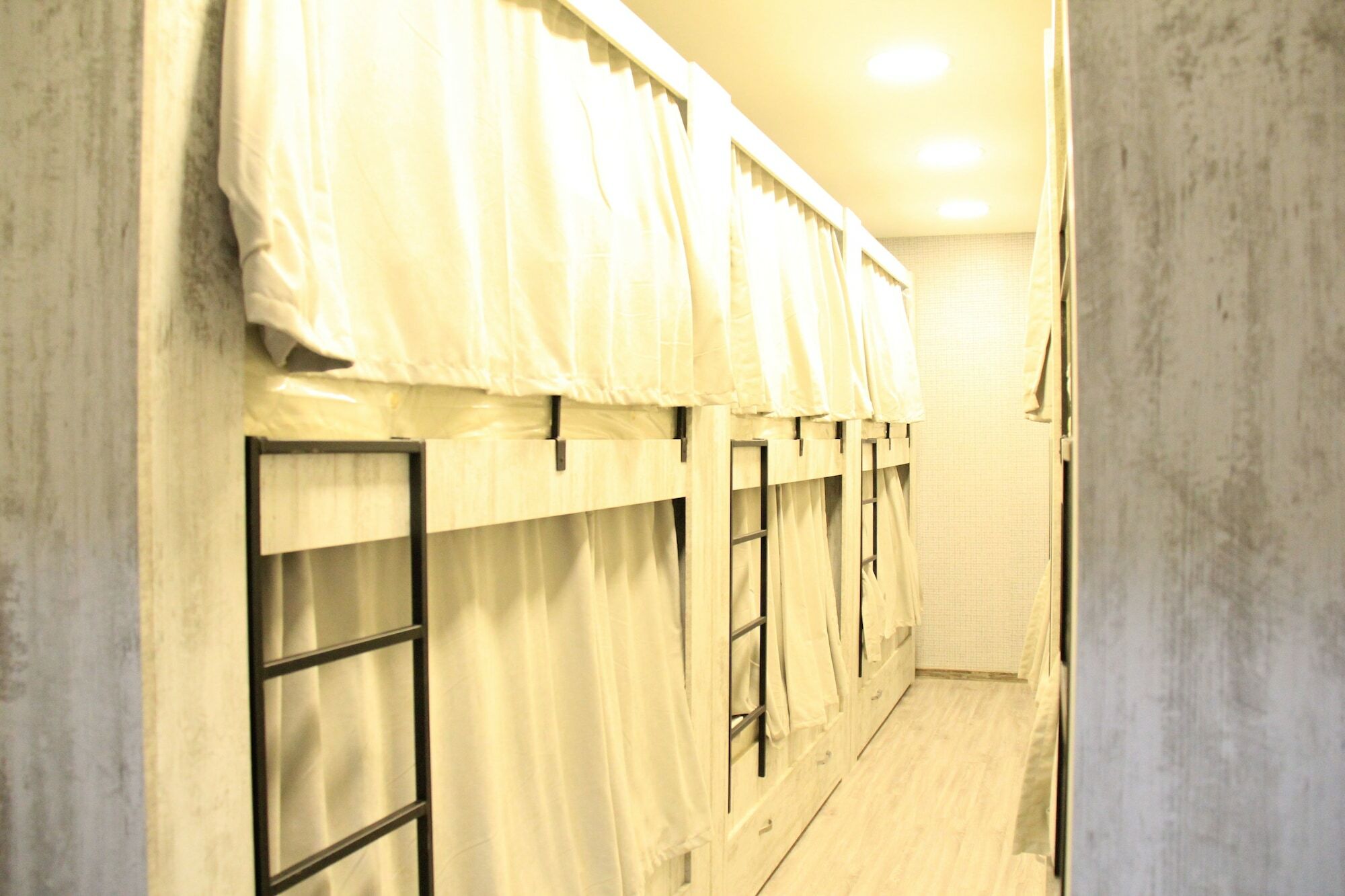 Blossom Hostel Updated ! Обновлено !!! City Center! Perfect Order!!! Snow-White Bed Linen!!! Идеальный Порядок!!! Белоснежное Постельное Белье!!! Центр Города !!! Tbilisi Exteriör bild